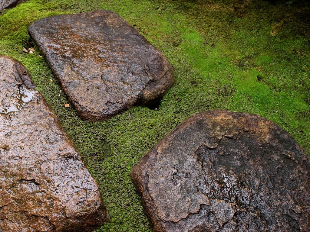 ホテル あたみ石亭 別邸 桜岡茶寮 熱海市 エクステリア 写真